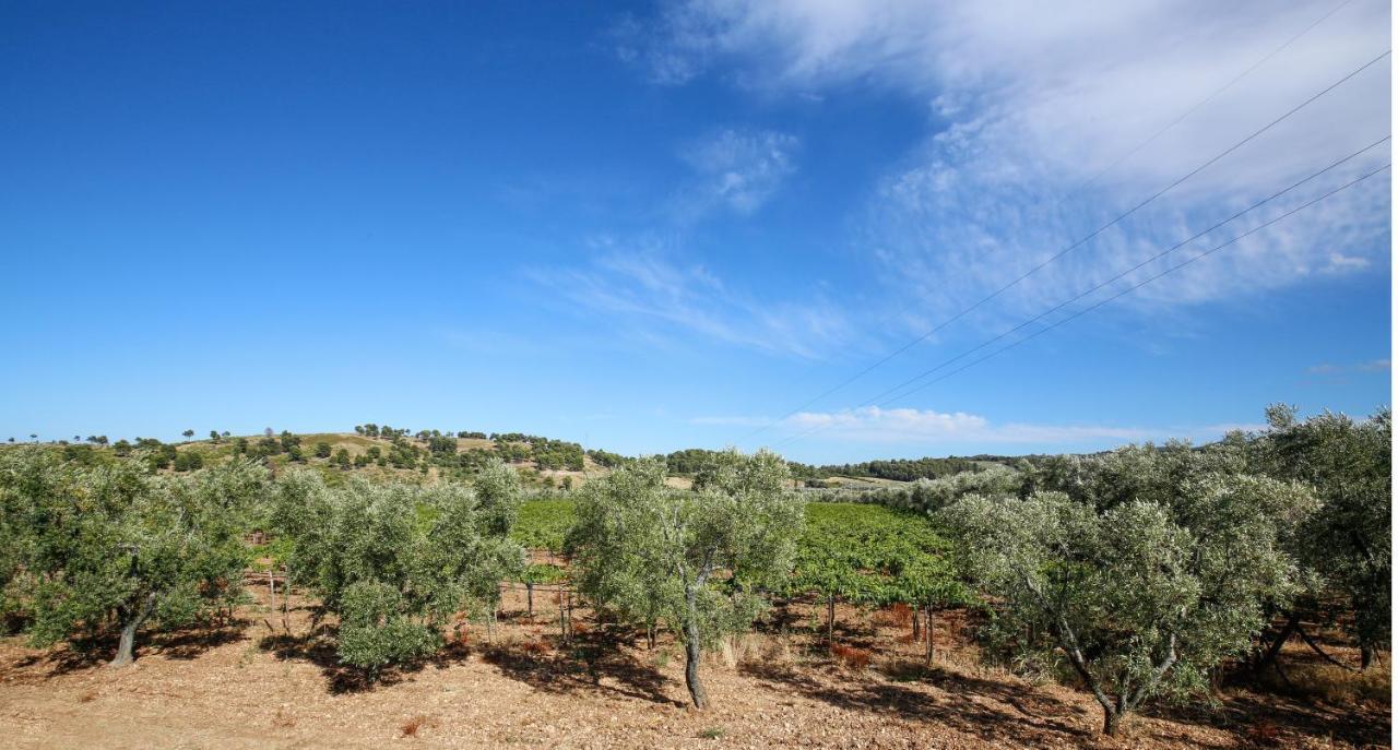 Agriturismo Posta Pastorella Vieste Luaran gambar